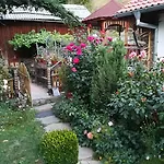 Rosenovi