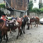 Rosenovi Guest house 3*