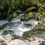 Rosenovi Guest house Lyaskovo (Smolyan)