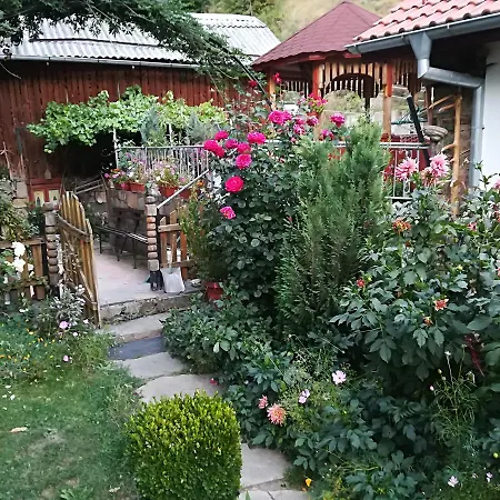 росенови