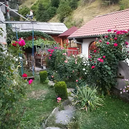 росенови Lyaskovo