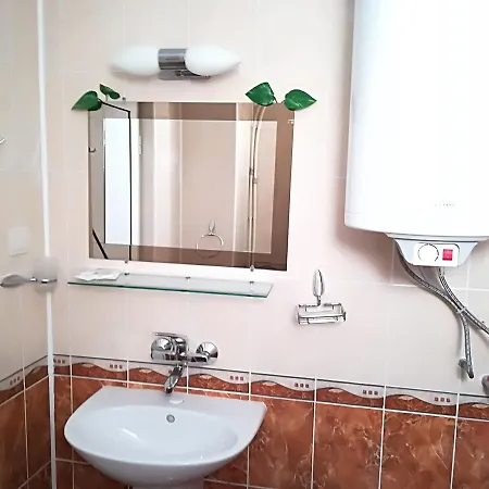 Guest house Rosenovi 3*