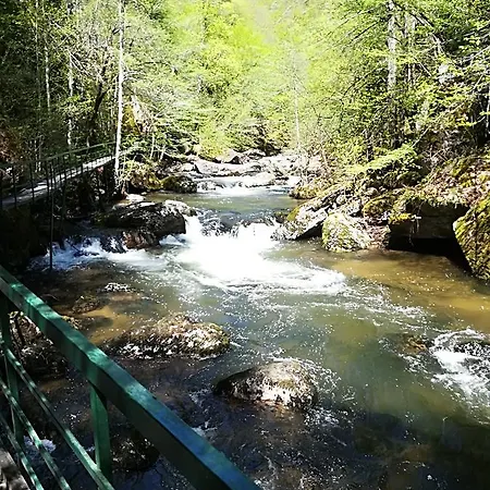 Rosenovi Lyaskovo (Smolyan)