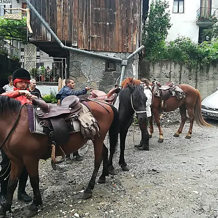 Rosenovi Guest house 3*