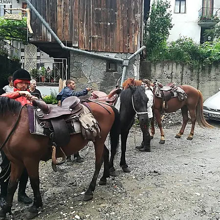 Rosenovi Guest house *