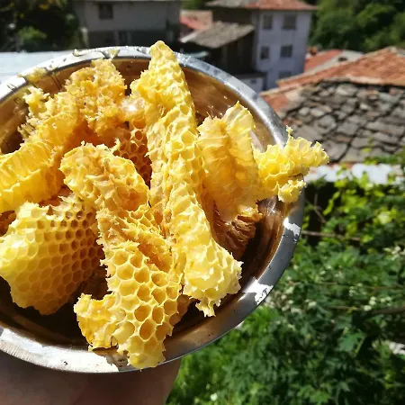 Vendégház Rosenovi 3*
