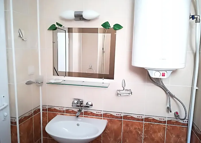 Guest house Rosenovi 3*