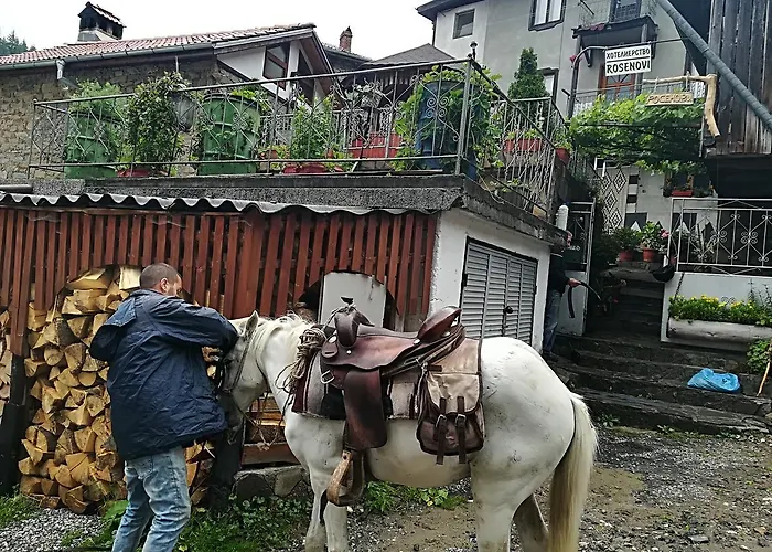 Guest house Rosenovi