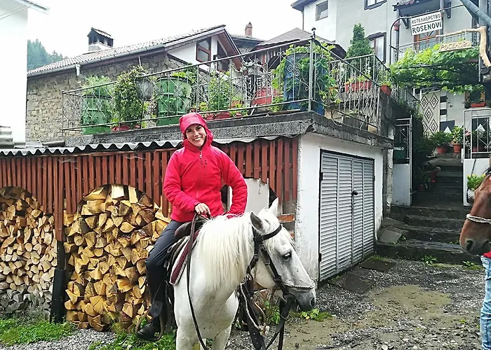 Guest house Rosenovi Lyaskovo (Smolyan)