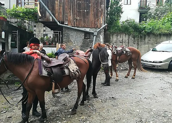 Rosenovi Guest house 3*