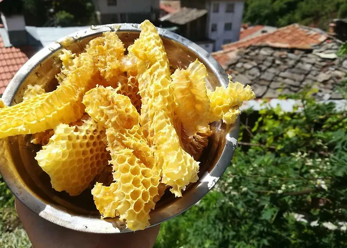 Guest house Rosenovi 3*