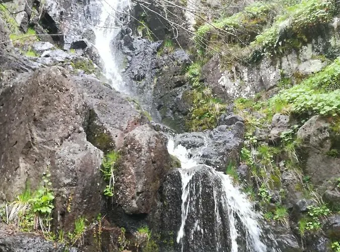 Guest house Rosenovi 3*