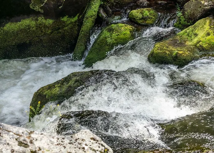 Rosenovi Guest house 3*