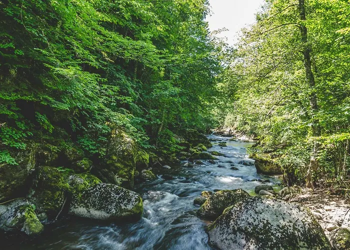 Rosenovi Guest house 3*