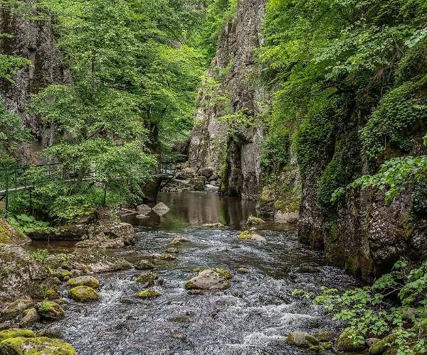 Rosenovi Guest house