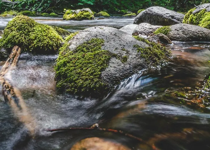 Rosenovi Guest house Lyaskovo (Smolyan)