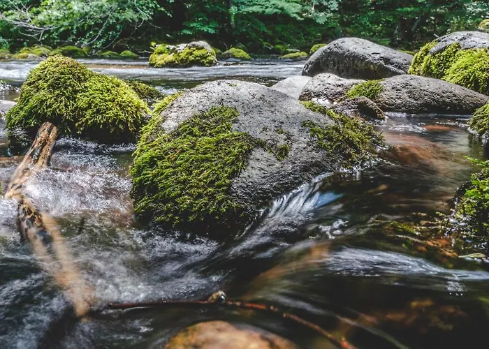 Guest house Rosenovi